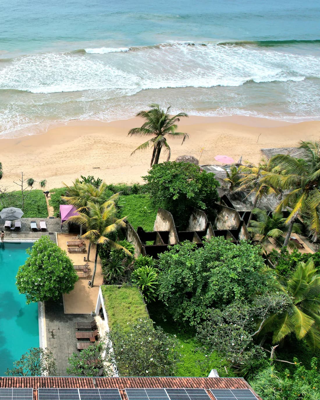 Aerial view of a beachfront resort with a pool surrounded by palm trees