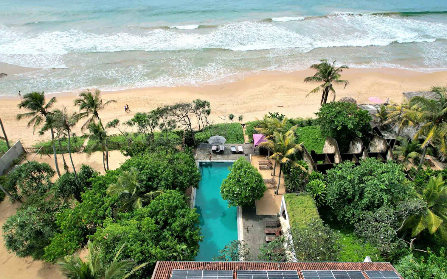 Aerial view of a beachfront resort with a pool surrounded by palm trees